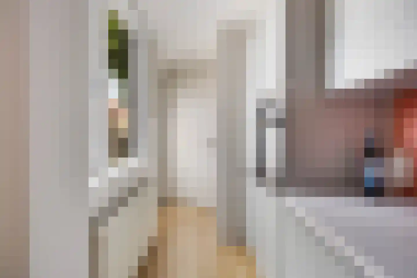 Borniastraat 93 Leeuwarden thumbnail 25