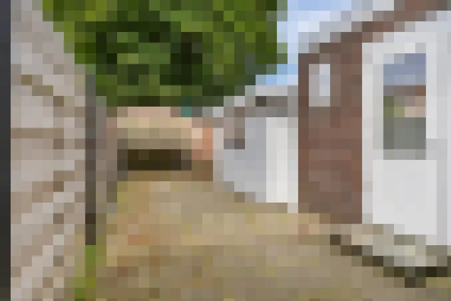 Borniastraat 93 Leeuwarden thumbnail 40