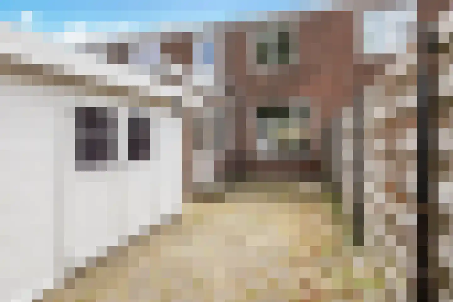 Borniastraat 93 Leeuwarden thumbnail 42