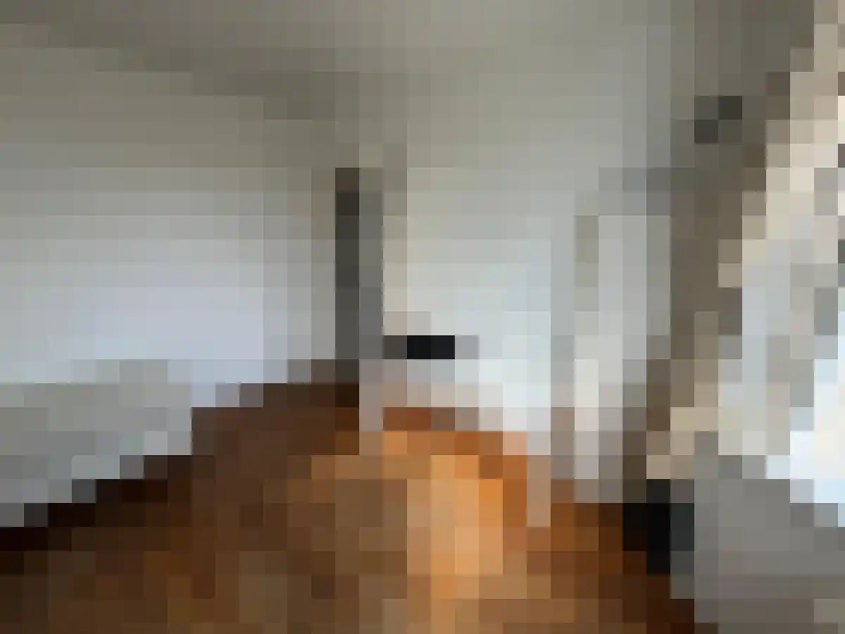 Borniastraat Leeuwarden thumbnail 5