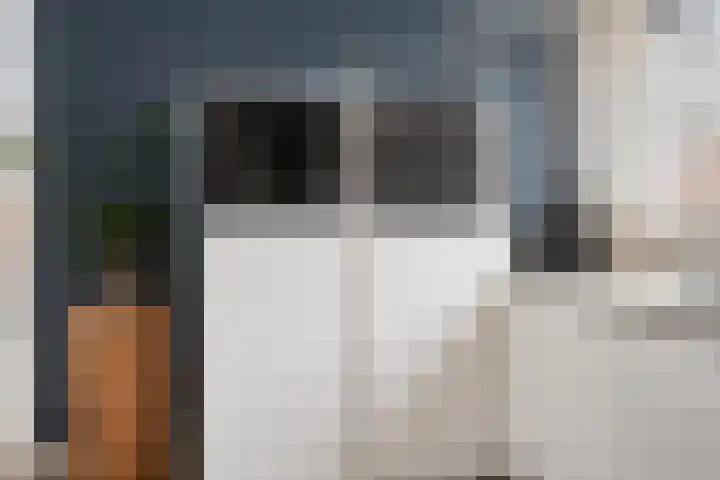 Bornkamp 19 Heerde thumbnail 11
