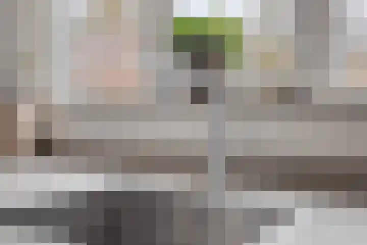 Bornkamp 19 Heerde thumbnail 13