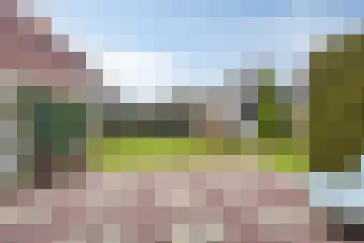 Bornkamp 19 Heerde thumbnail 32