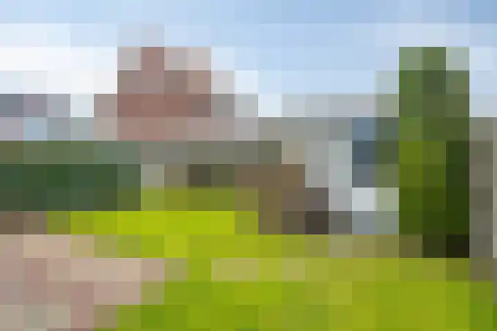 Bornkamp 19 Heerde thumbnail 35