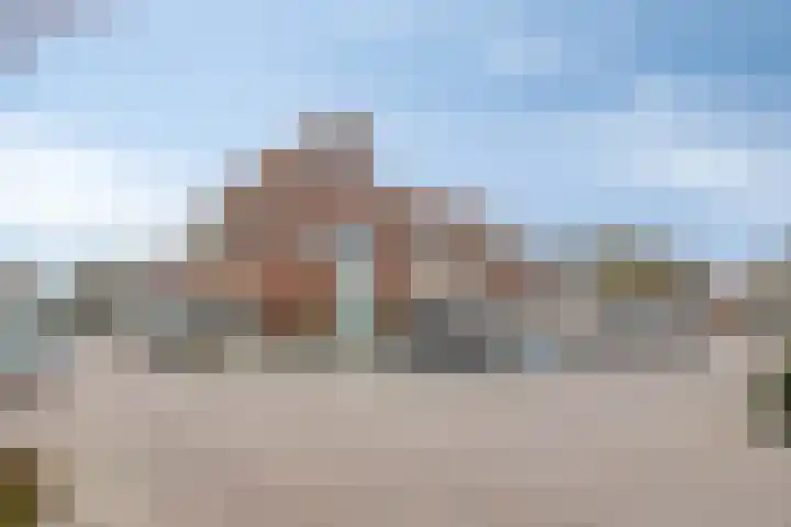 Bornkamp 19 Heerde thumbnail 44