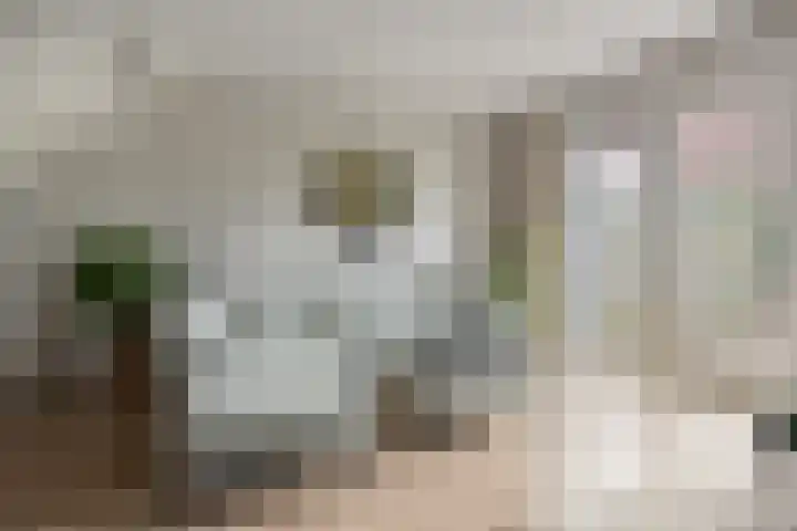 Bornkamp 19 Heerde thumbnail 5