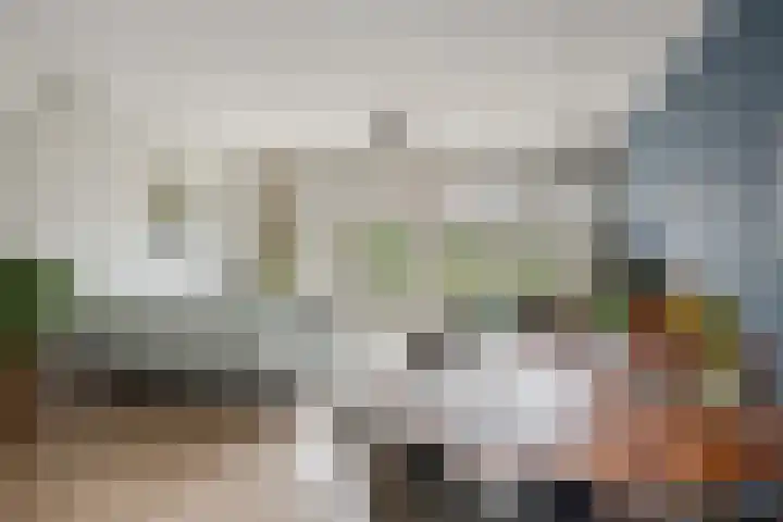 Bornkamp 19 Heerde thumbnail 7