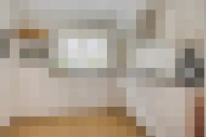 Bornkamp 44 Heerde thumbnail 10
