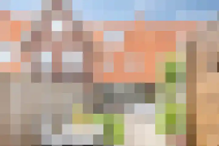 Bornkamp 44 Heerde thumbnail 21