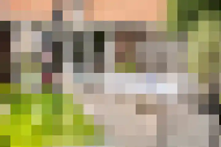 Bornkamp 44 Heerde thumbnail 22