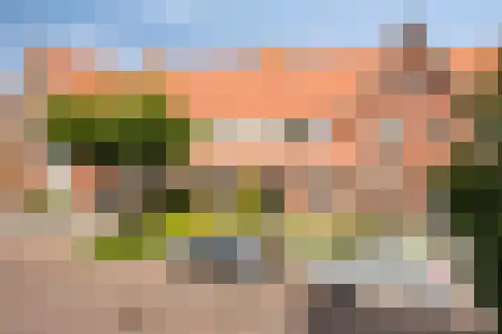 Bornkamp 44 Heerde thumbnail 23