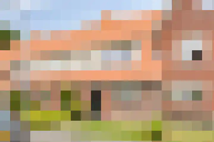 Bornkamp 44 Heerde thumbnail 24