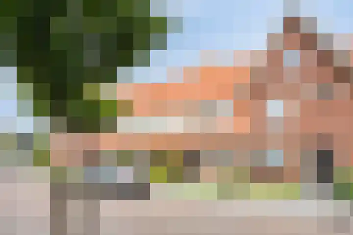 Bornkamp 44 Heerde thumbnail 25