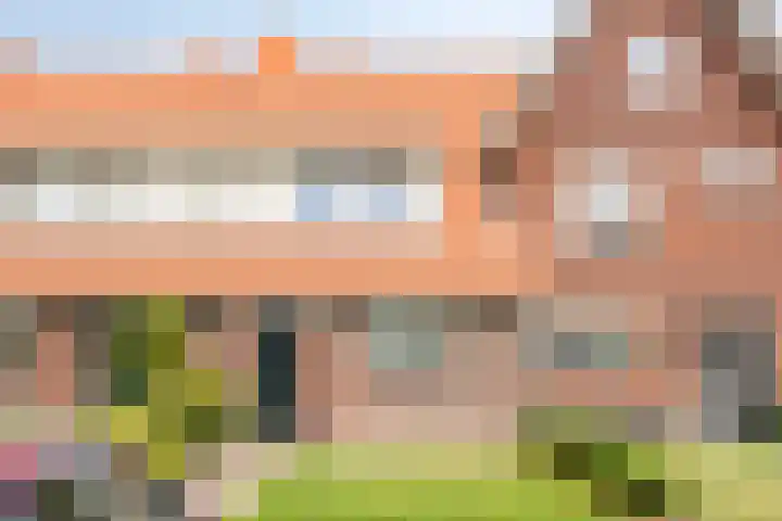 Bornkamp 44 Heerde thumbnail 26