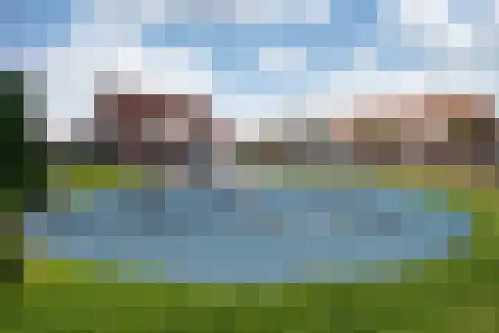 Bornkamp 44 Heerde thumbnail 27