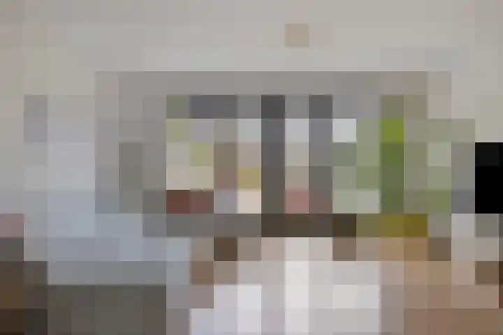 Bornkamp 44 Heerde thumbnail 4