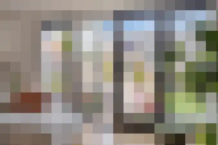 Bornkamp 44 Heerde thumbnail 6