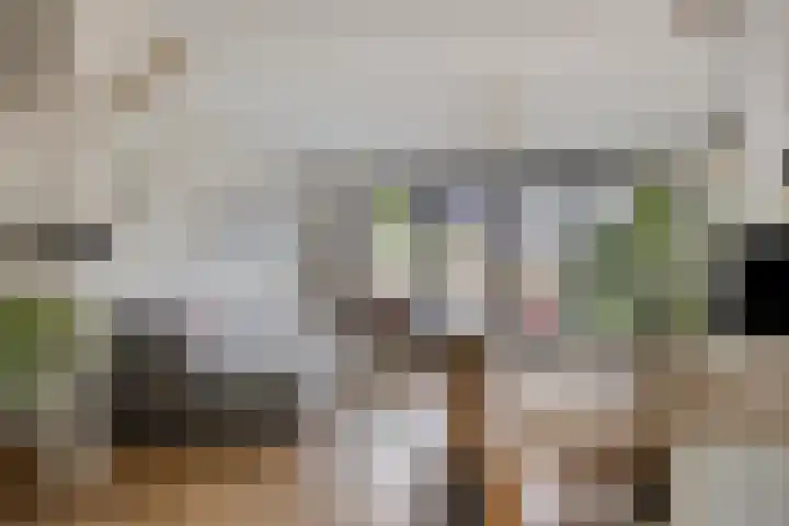 Bornkamp 44 Heerde thumbnail 7