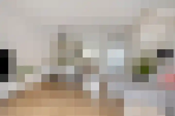 Bornkamp 44 Heerde thumbnail 8