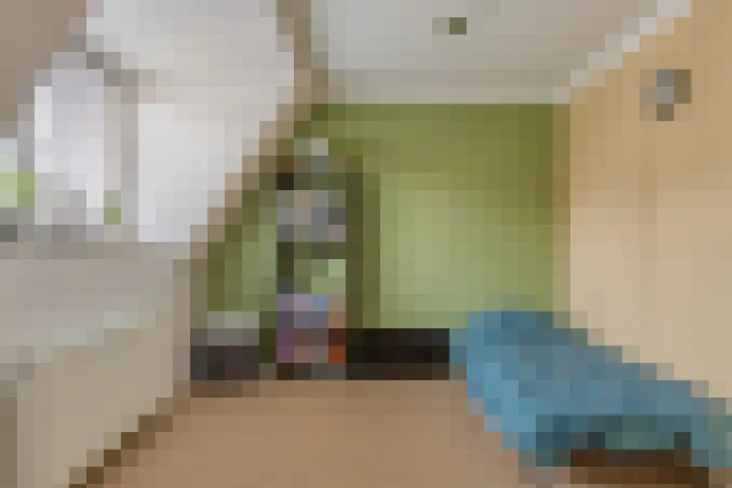 Bornsestraat 108 Almelo thumbnail 20