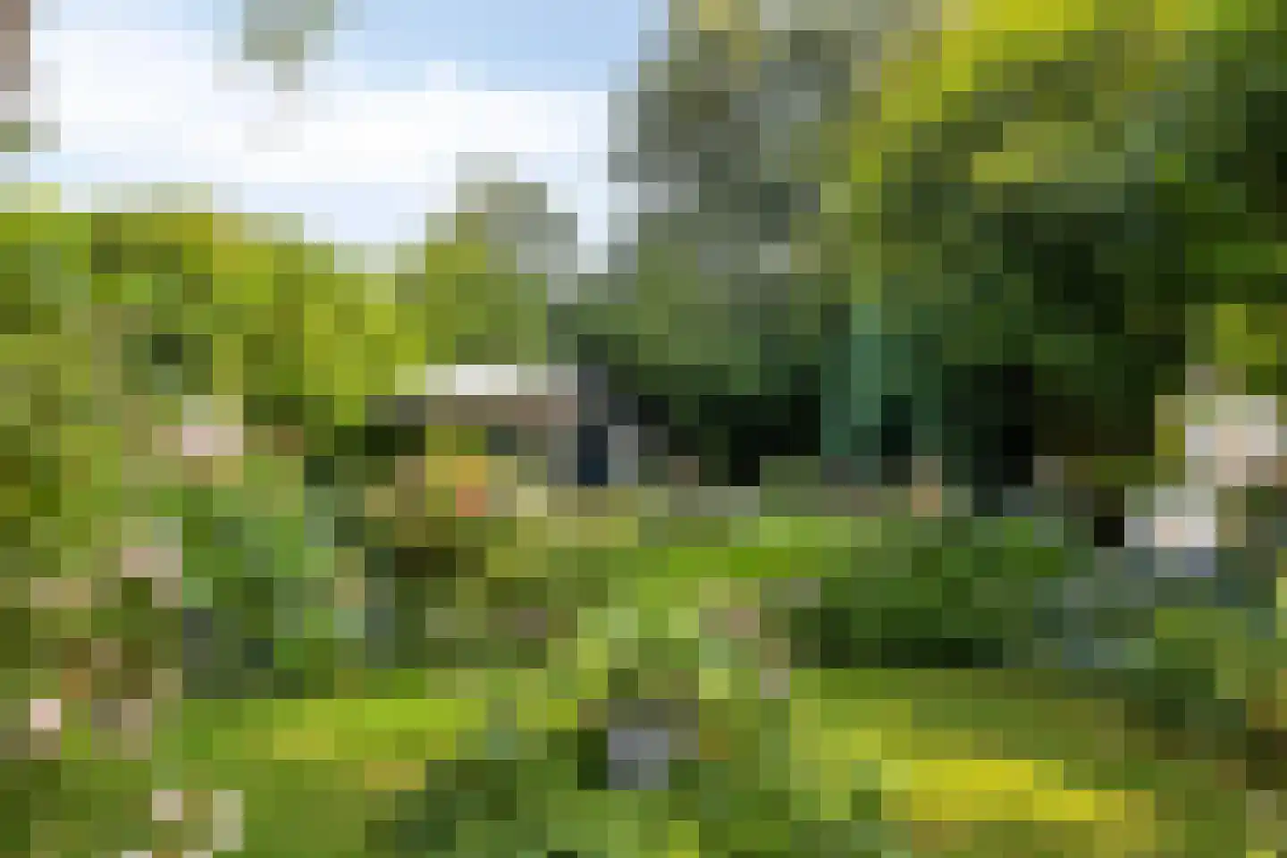 Bornsestraat 136 Almelo thumbnail 21