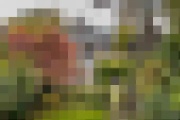 Bornsestraat 138 Almelo thumbnail 20