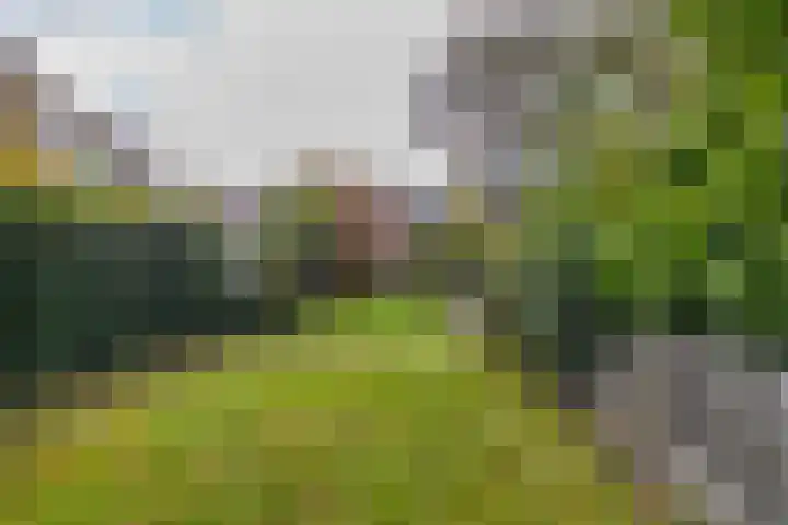 Bornsestraat 138 Almelo thumbnail 4