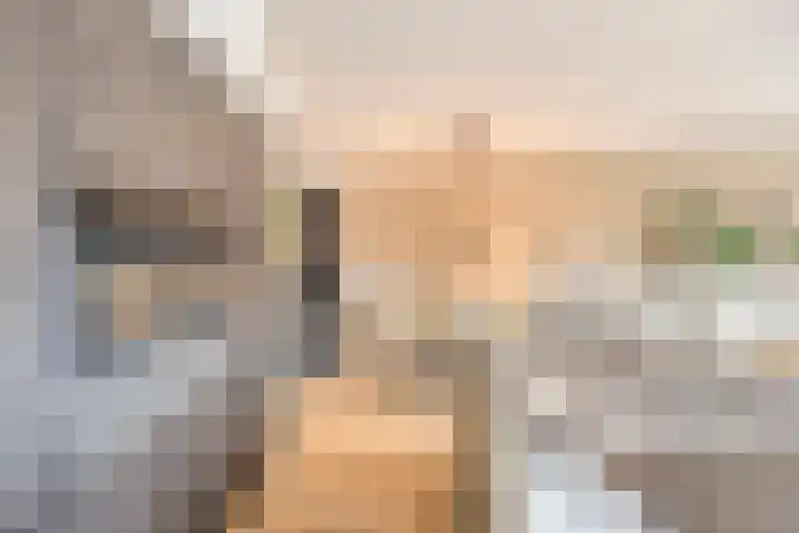 Bornsestraat 14 Hengelo thumbnail 14