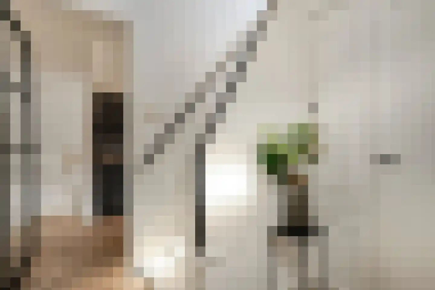 Bornsestraat 164 Hengelo thumbnail 9