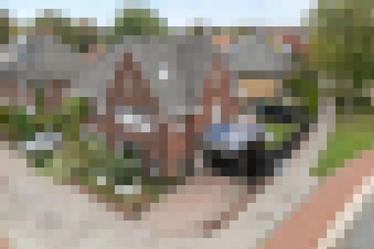 Bornsestraat 168 Hengelo thumbnail 42
