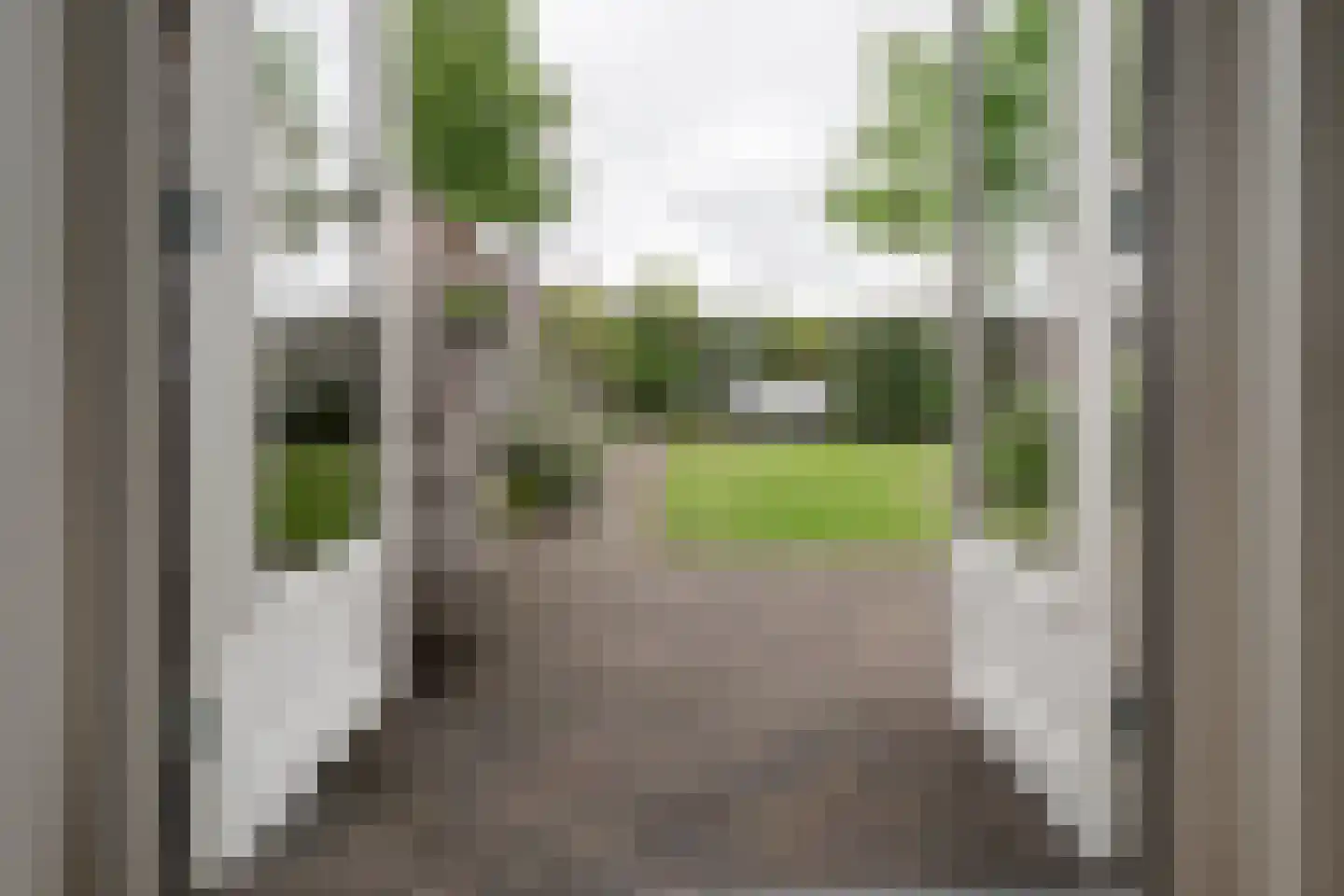 Bornsestraat 176 Hengelo thumbnail 16
