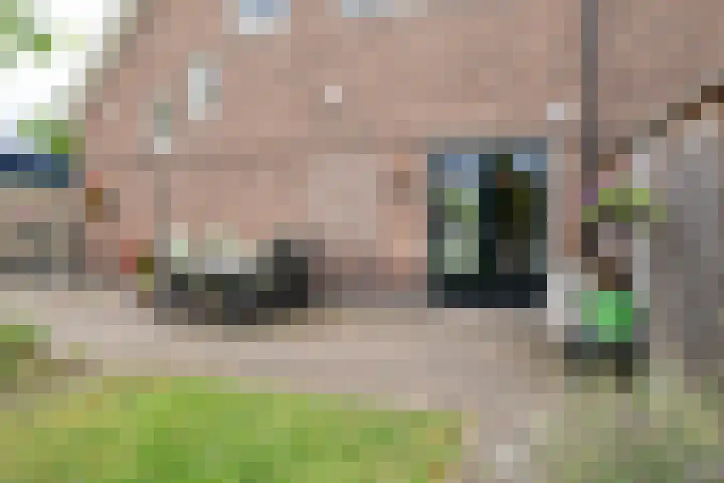 Bornsestraat 176 Hengelo thumbnail 27
