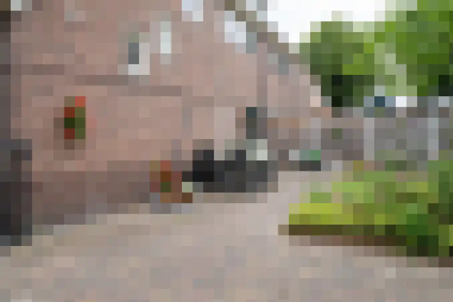 Bornsestraat 176 Hengelo thumbnail 28