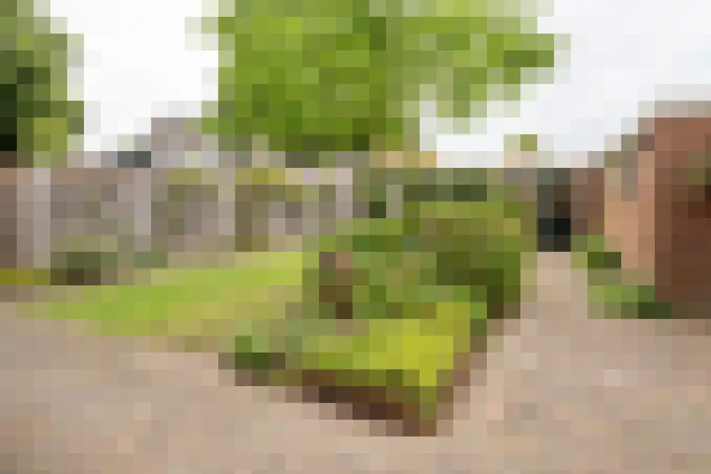 Bornsestraat 176 Hengelo thumbnail 32