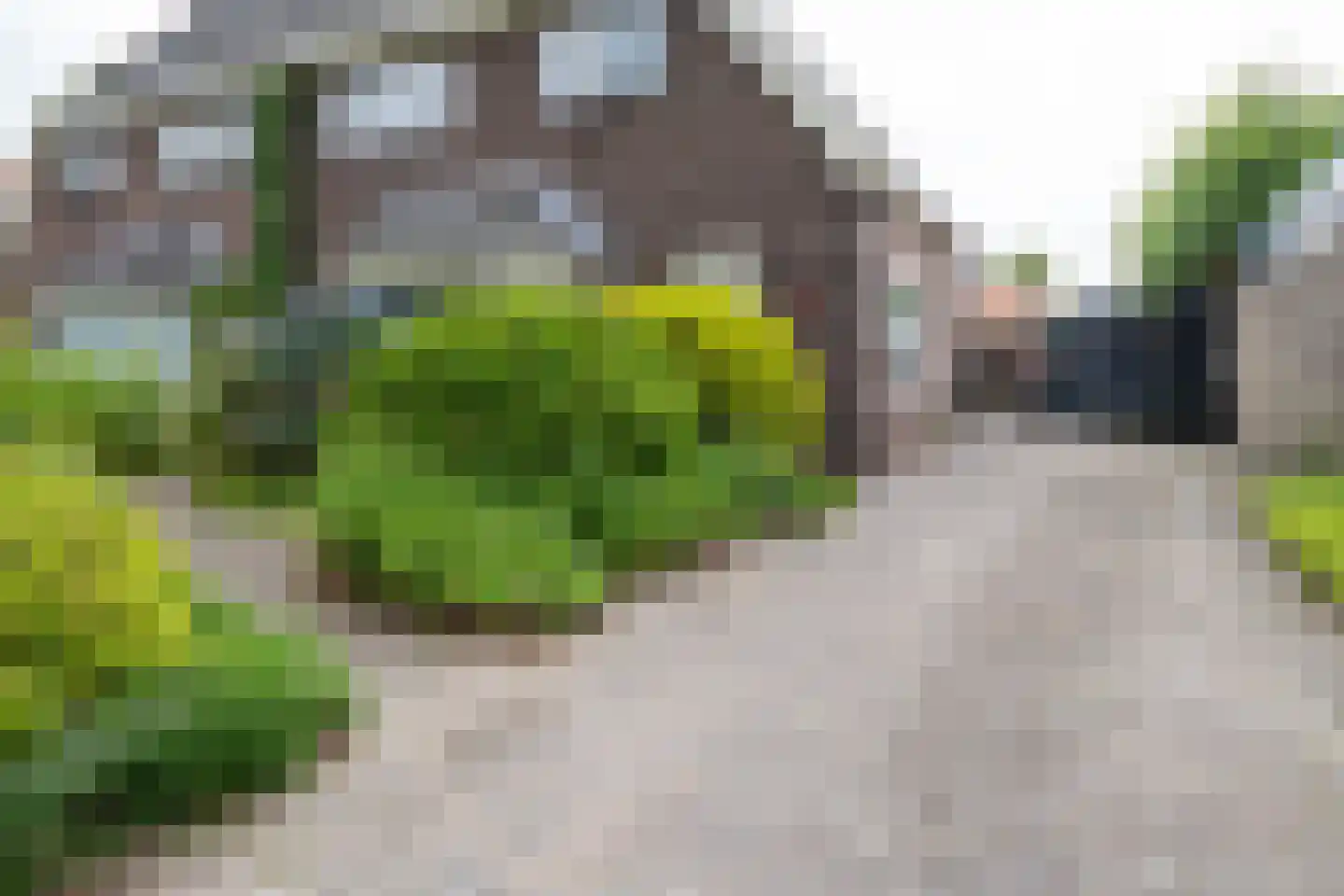 Bornsestraat 176 Hengelo thumbnail 44