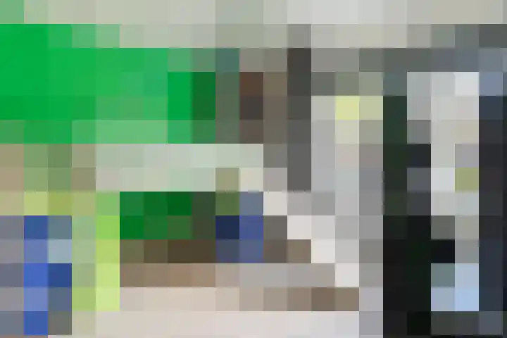 Bornsestraat 219 Almelo thumbnail 22