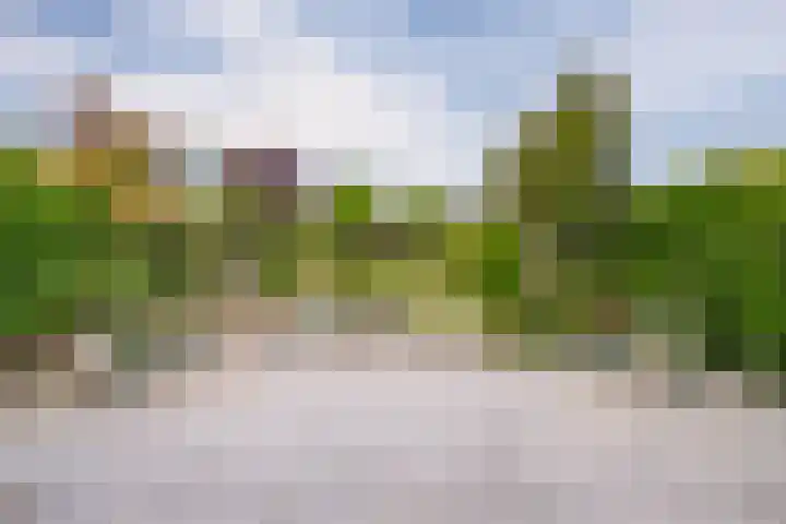 Bornsestraat 219 Almelo thumbnail 33