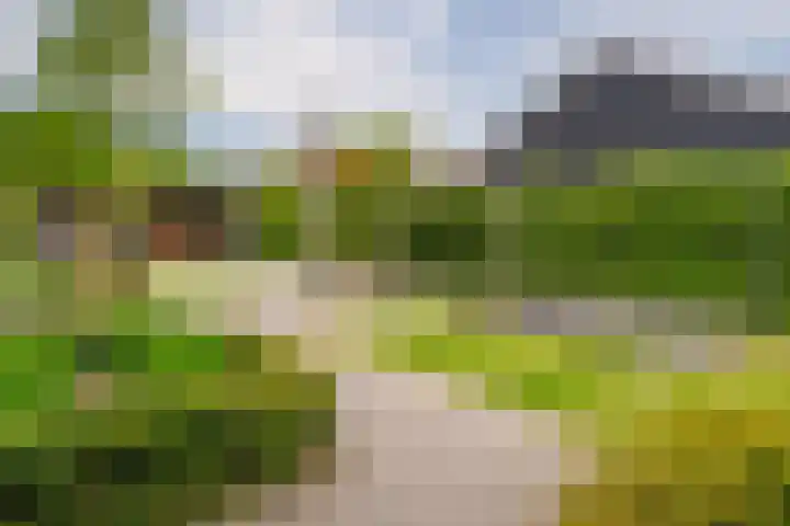 Bornsestraat 219 Almelo thumbnail 36