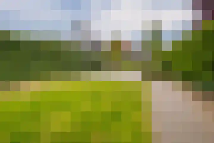 Bornsestraat 219 Almelo thumbnail 39