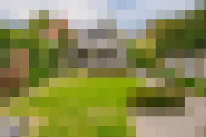 Bornsestraat 219 Almelo thumbnail 41