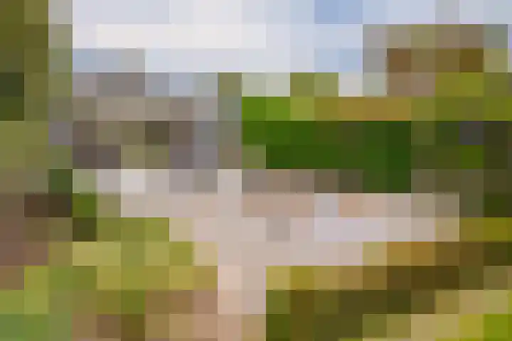 Bornsestraat 219 Almelo thumbnail 42