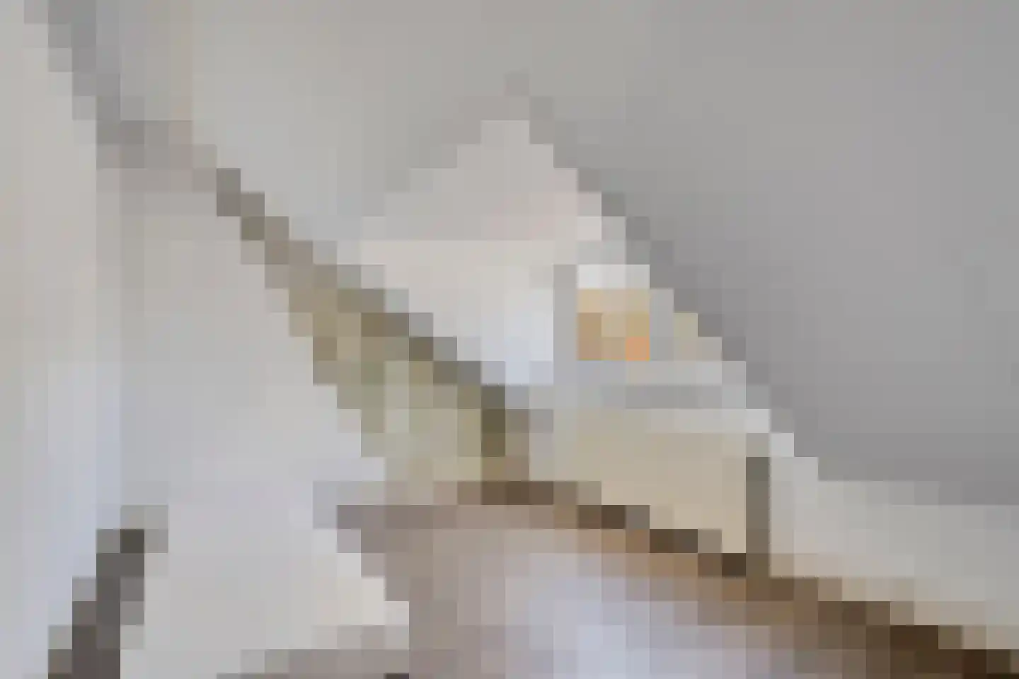 Bornsestraat 233 a Almelo thumbnail 33