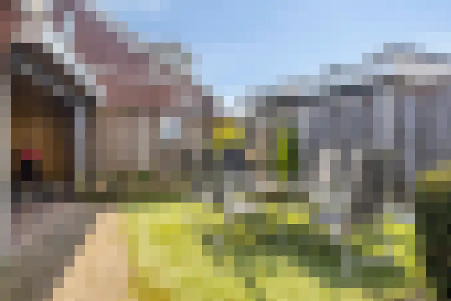 Bornsestraat 233 a Almelo thumbnail 38