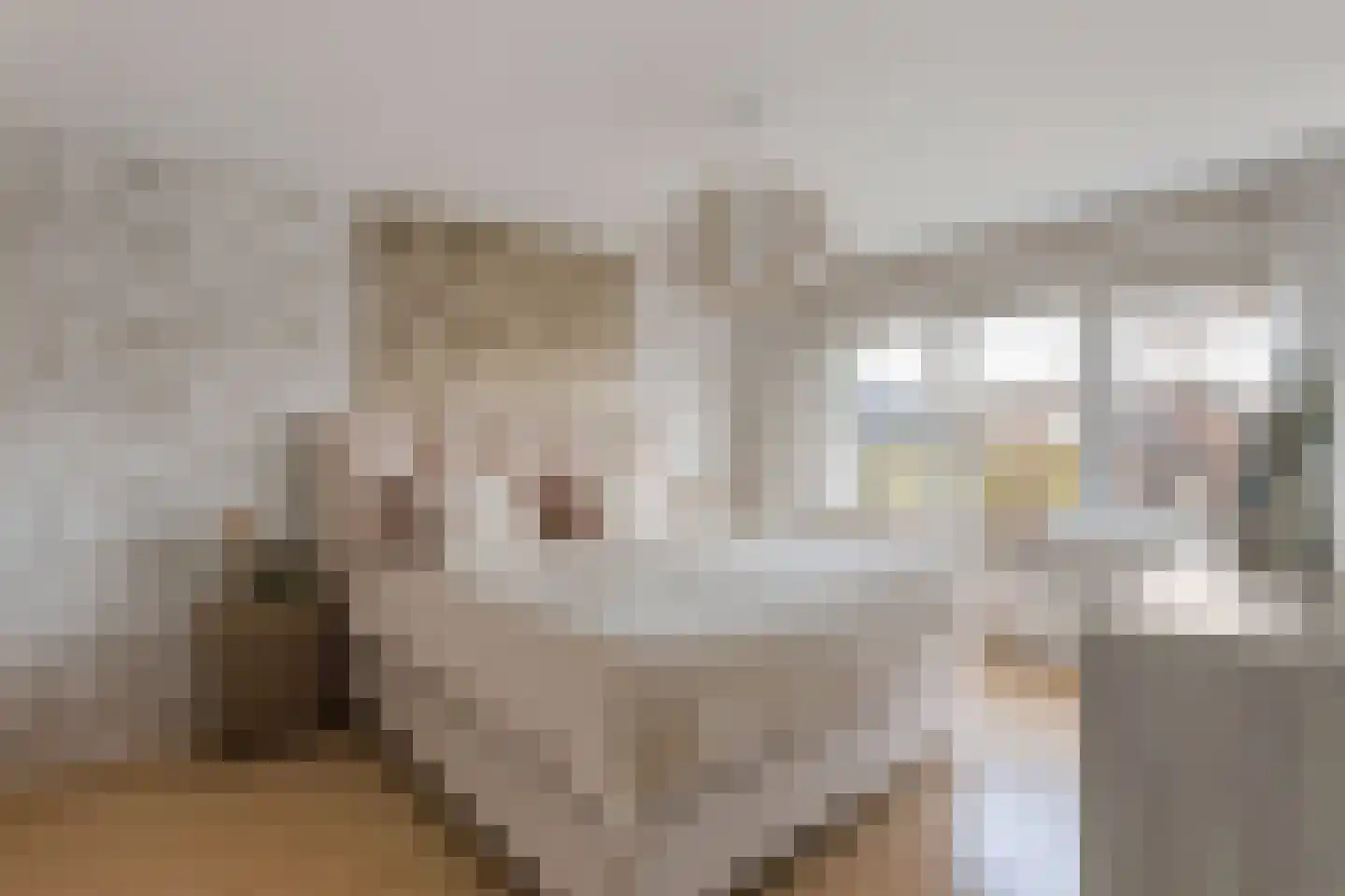 Bornsestraat 237 Almelo thumbnail 13