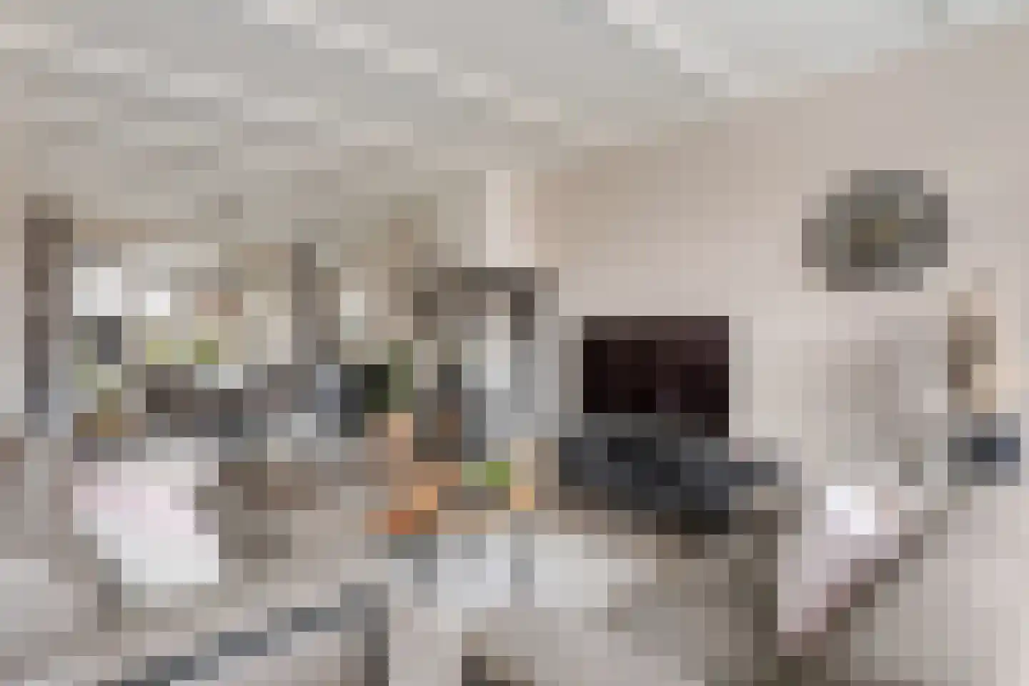 Bornsestraat 237 Almelo thumbnail 8