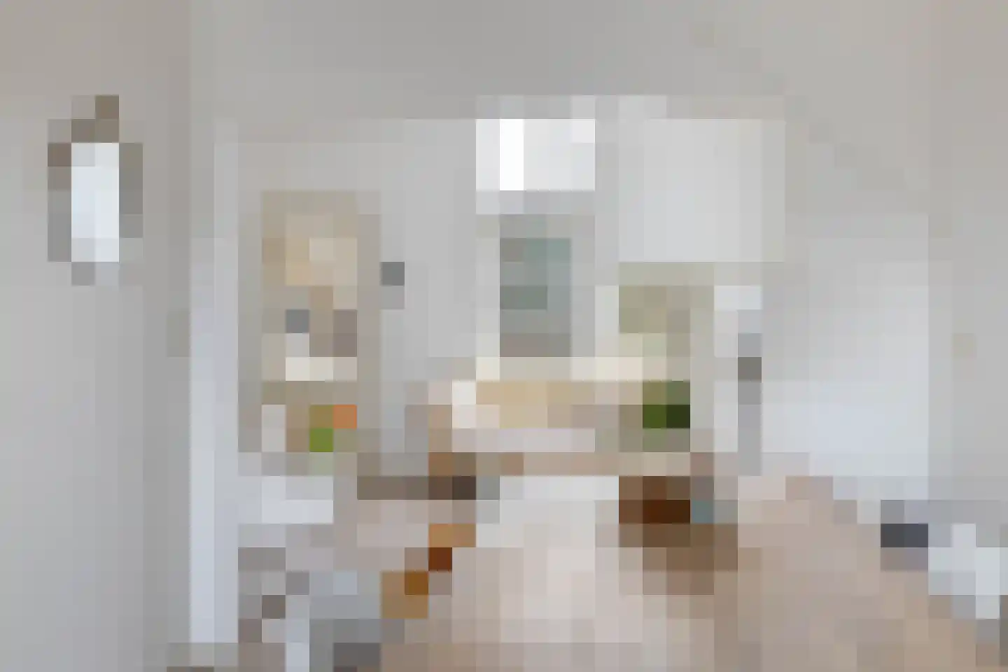 Bornsestraat 259 Almelo thumbnail 13