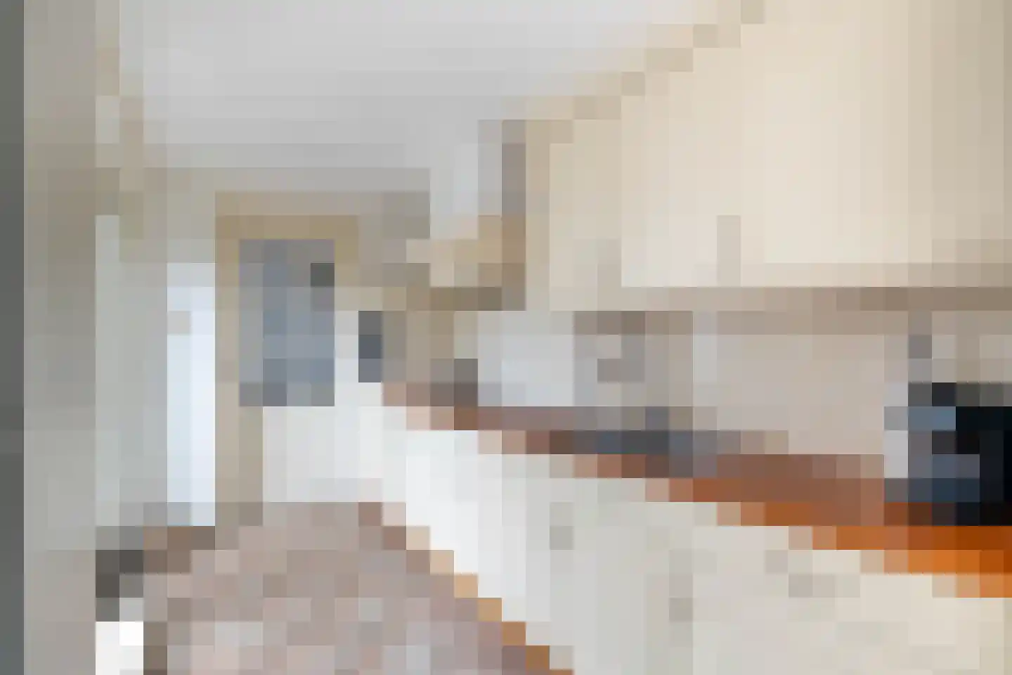 Bornsestraat 259 Almelo thumbnail 16