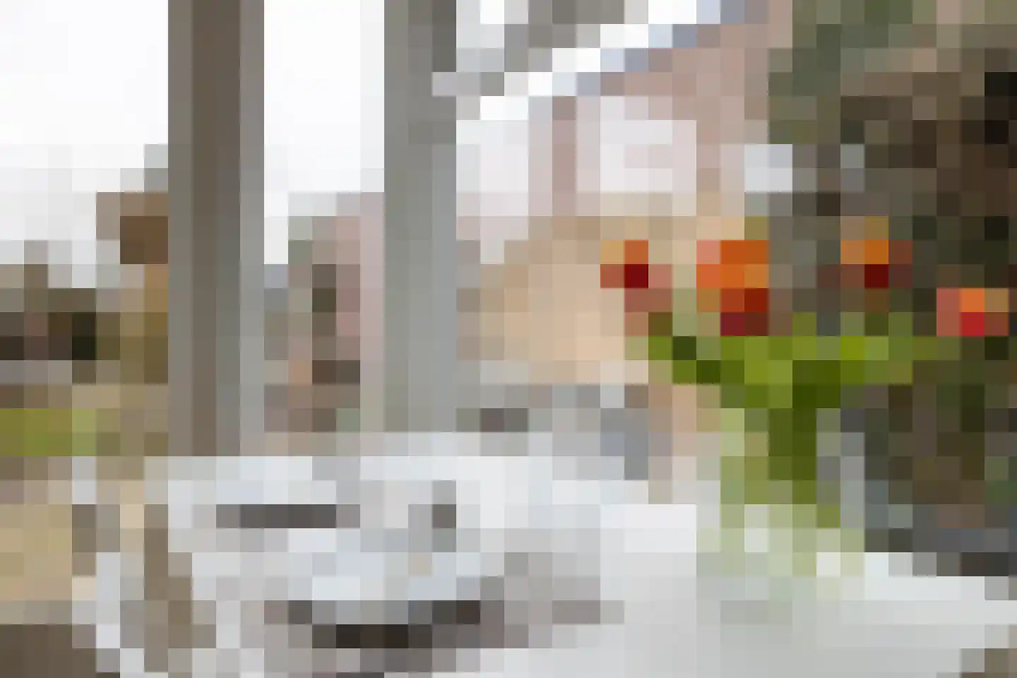Bornsestraat 259 Almelo thumbnail 18