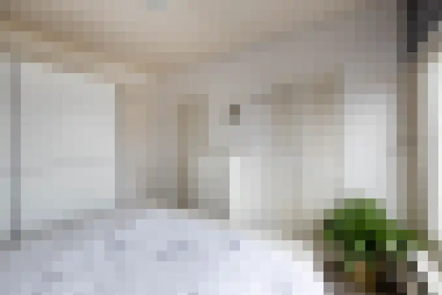 Bornsestraat 259 Almelo thumbnail 21