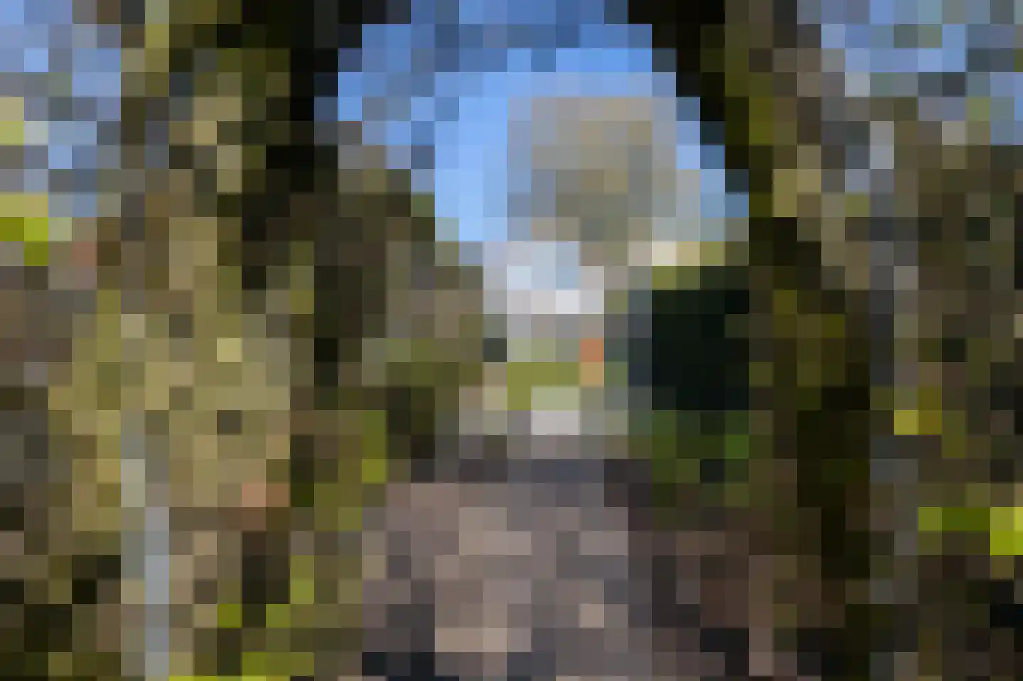 Bornsestraat 259 Almelo thumbnail 37